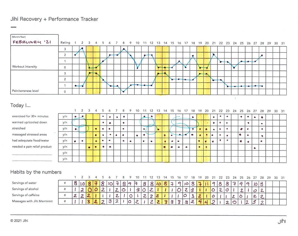 Jihi Bullet Journal for Recovery and Performance