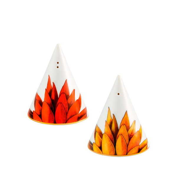 VISTA ALEGRE Amazonia Salt and Pepper Set