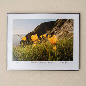 Golden Poppies Along Highway 1 - Big Sur, Ca, 11x14 Signed Print