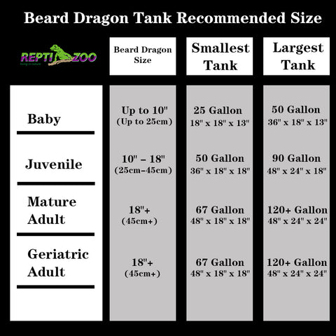 Recommendation of the best beard dragon tank size