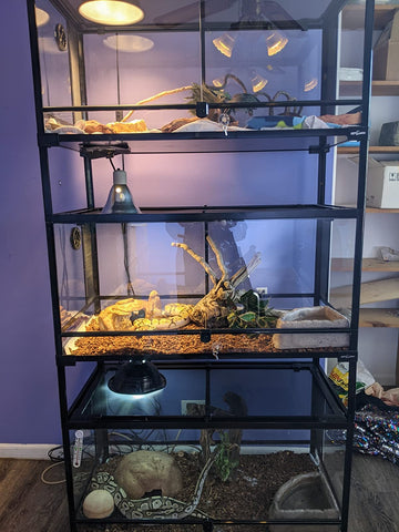 stackable reptile cages