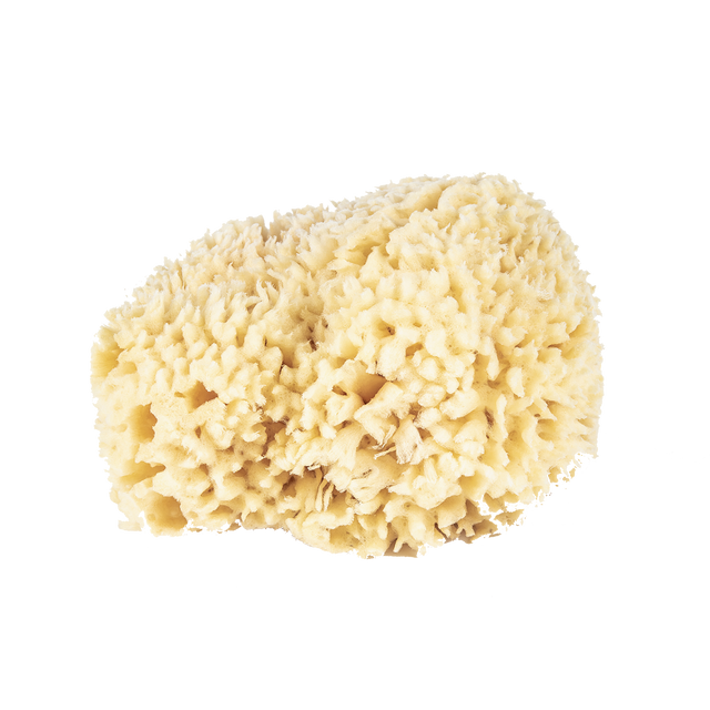 Wool Bath Sponge Large