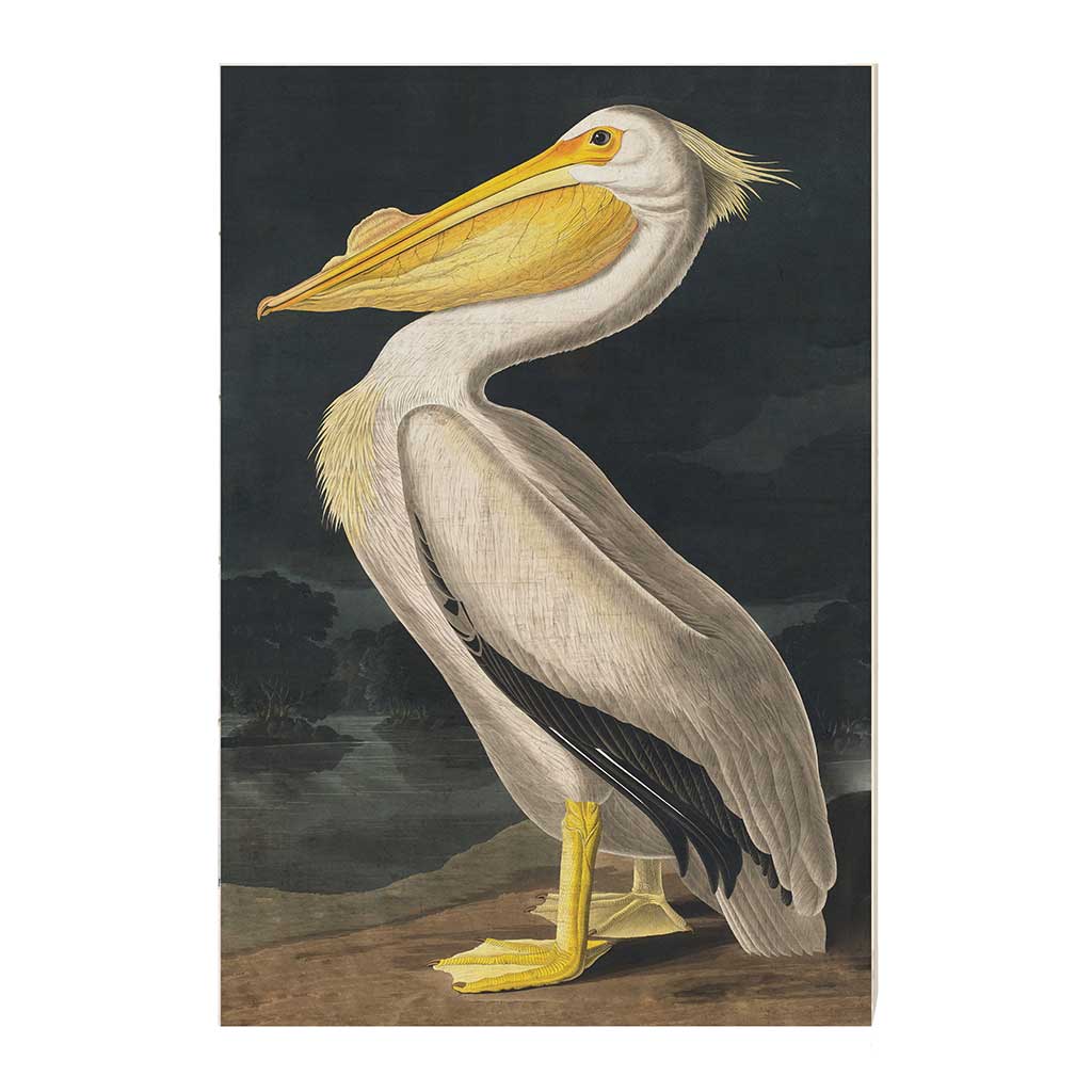 23x34 Vintage Pelican Sign