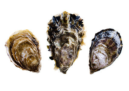 three oysters