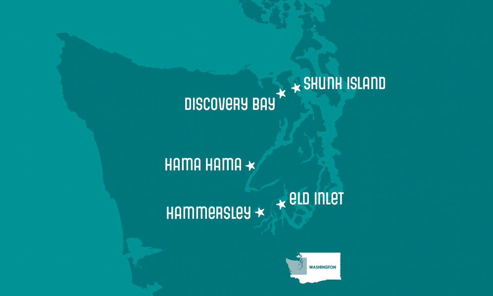 map of Hama Hama's oyster growing regions