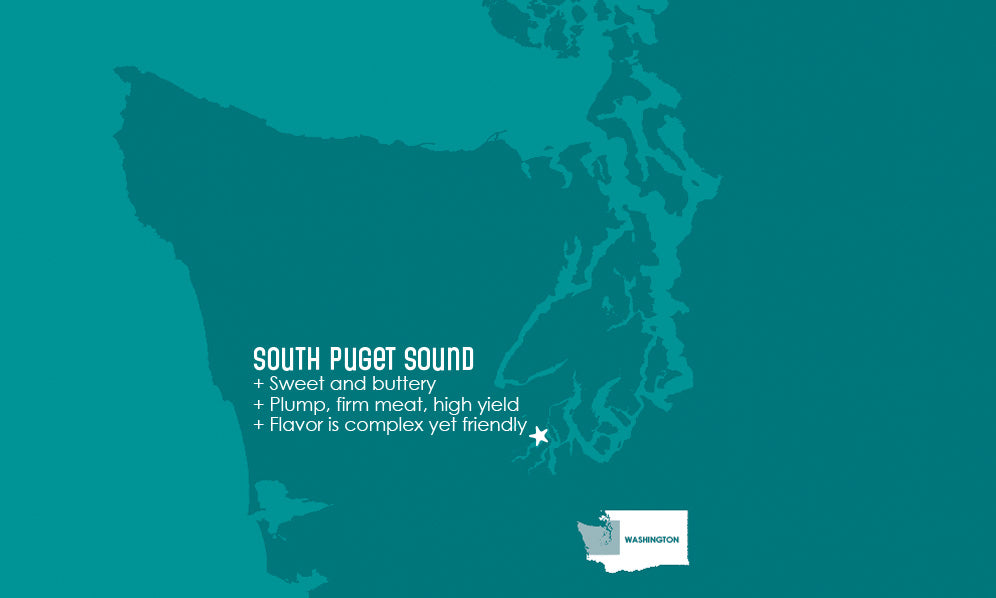 South Puget Sound Oyster Map