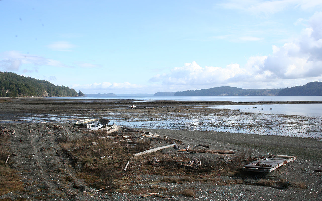 when the tides out, the beach crew heads out to harvest