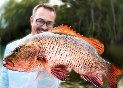 Mangrove Jacks - Release or Keep? – Mark Berg's Fishing Addiction