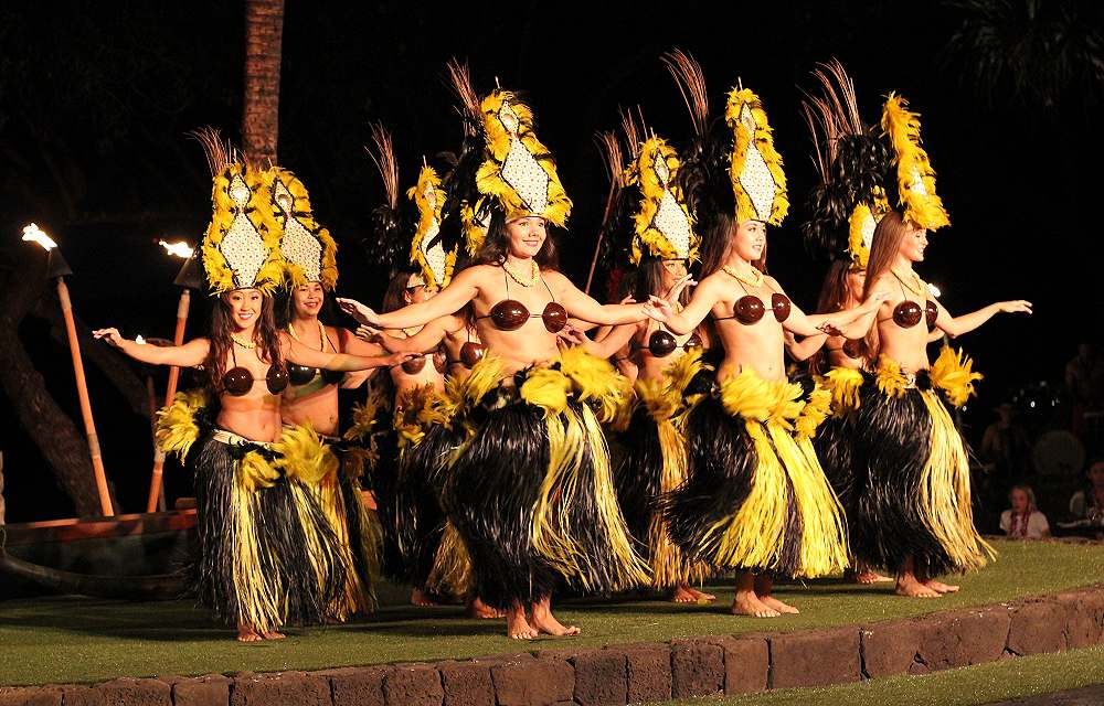 luau coconut bra