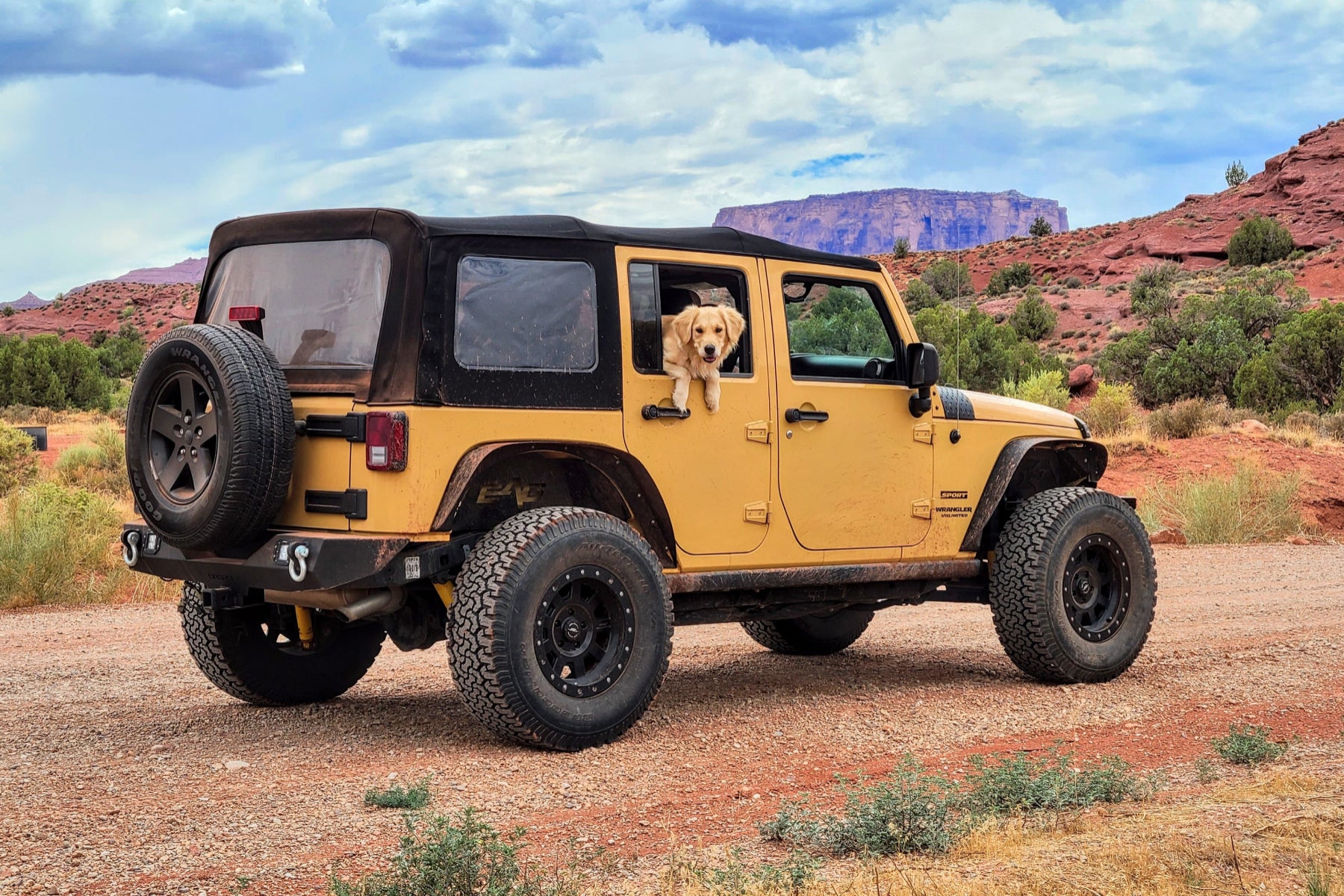 tips for car trips with dogs; dog in yellow jeep with desert background