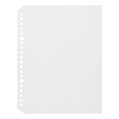 MUJI MUJI PP polypropylene 2-hole binder folder A4/A5/B5 domestic  purchasing agent