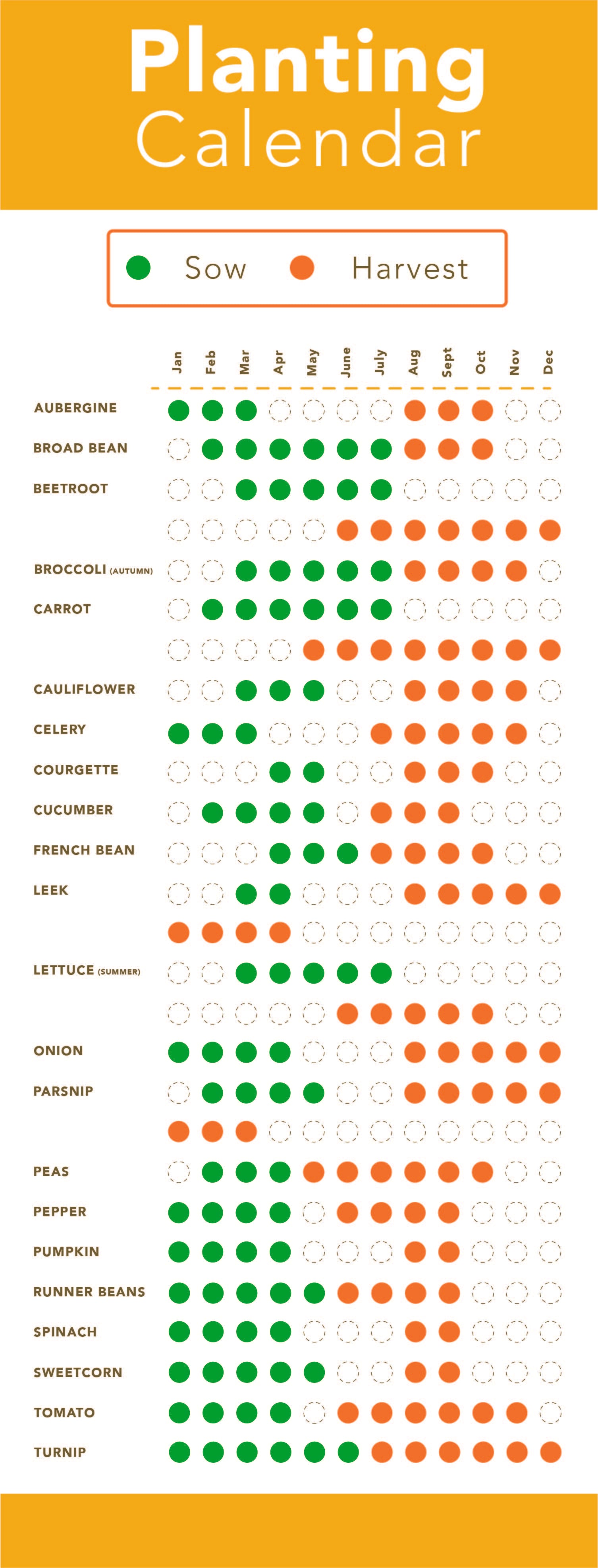 UK Vegetable Planting Calendar