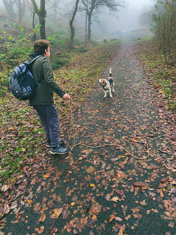 simplelifeco UK foraging in the woods