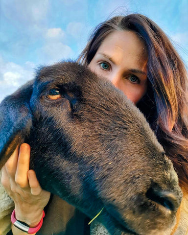 Suffolk Shepherdess and business owner, mum of three