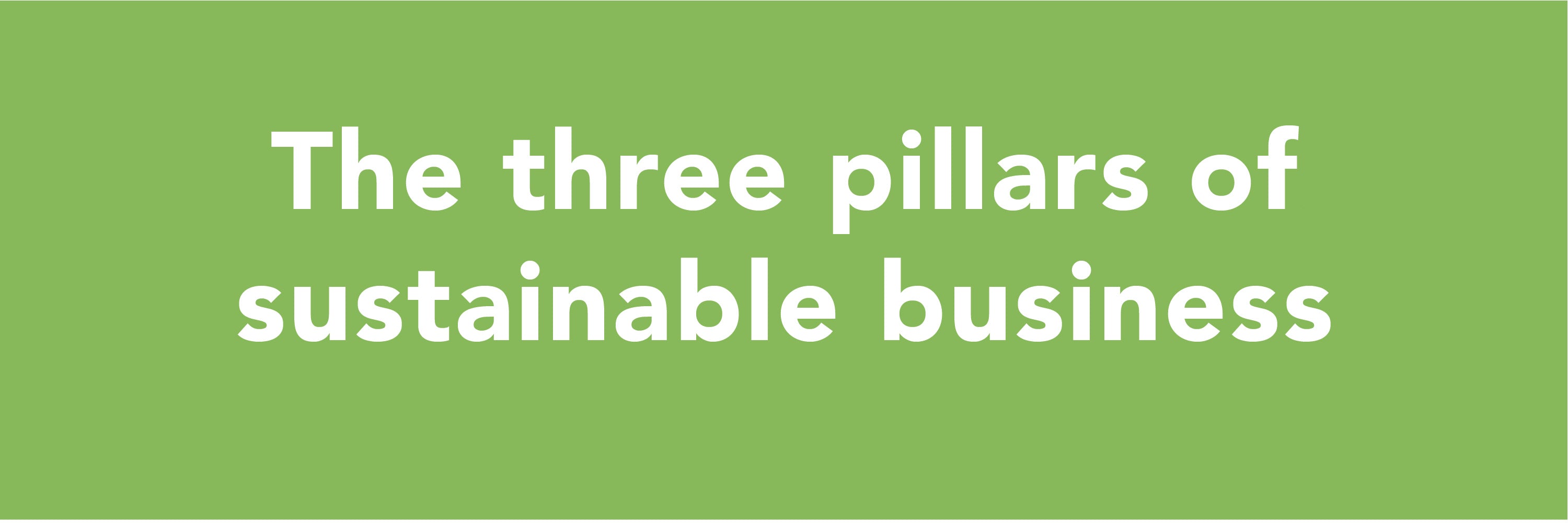 The three pillars of  sustainable business