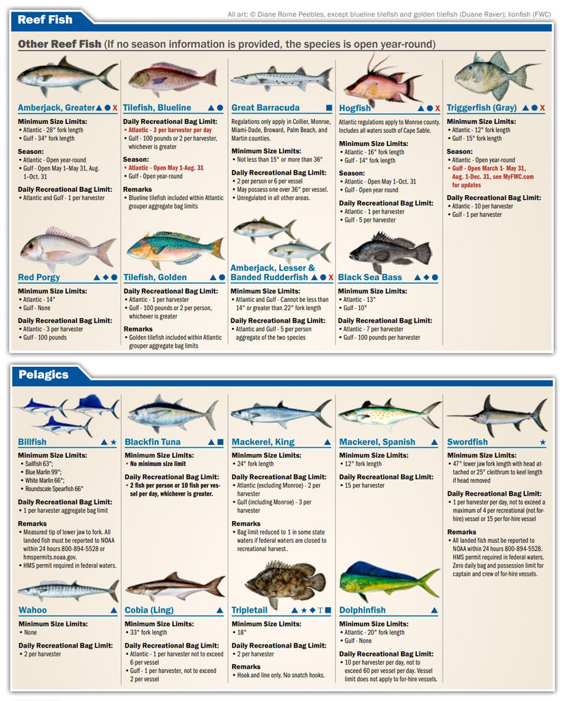 Management Zones - Florida Saltwater Fishing