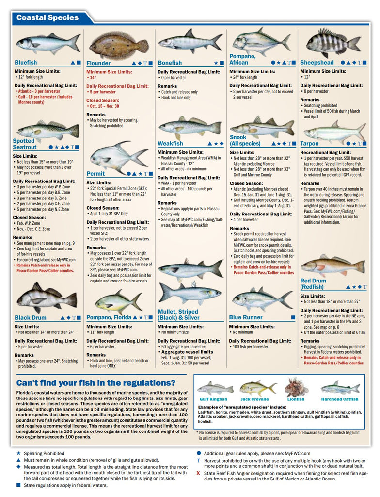 Florida Saltwater Recreational Fishing Regulations Reef & Reel
