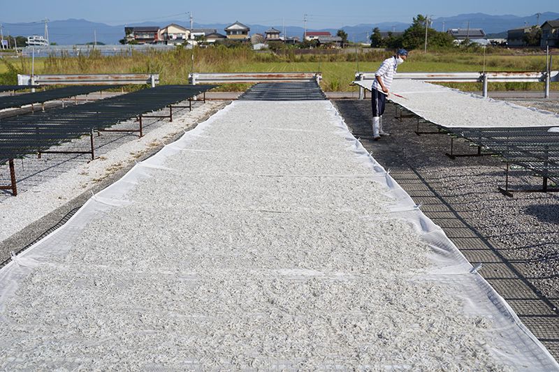 角弘海産 天日干ししらす