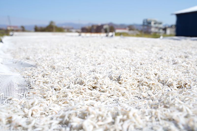 角弘海産 天日干ししらす