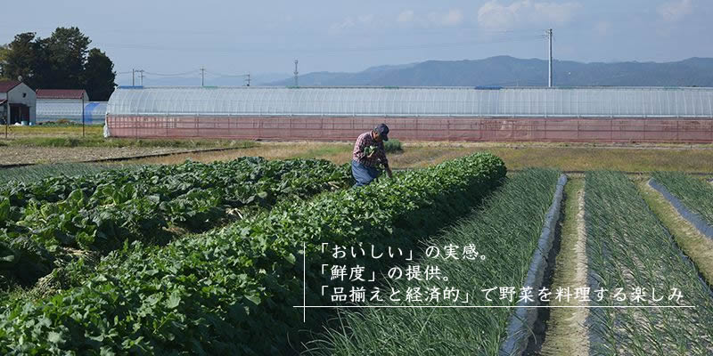 「TABEGORO」の産直野菜がお客さんへ提供する「バリュー」宣言。 「おいしい」の実感。 「鮮度」の提供。 「品揃えと経済的」で野菜を料理する楽しみ。