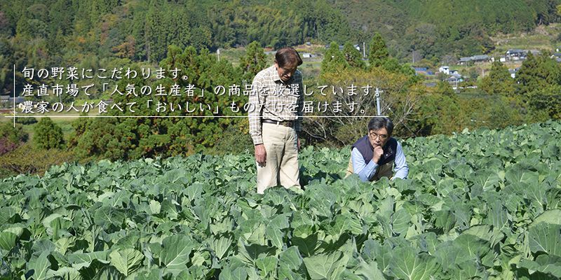 ・旬の野菜にこだわります。 ・産直市場で「人気の生産者」の商品を厳選しています。 ・農家の人が食べて「おいしい」ものだけを届けます