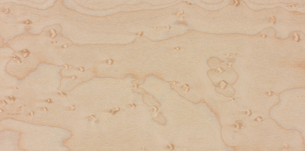 Close-up image showcasing the natural color and unique grain pattern of Birdseye Maple wood: Featuring small, circular 'bird's eyes' scattered across the surface, adding visual intrigue and sophistication to the wood.