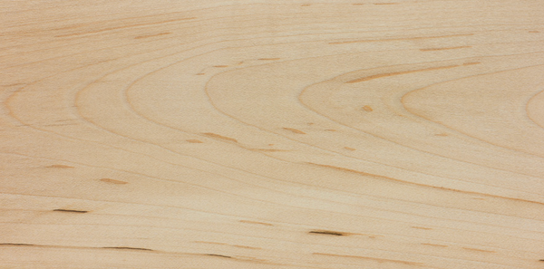 Close-up image showcasing the natural color and grain pattern of Black Maple wood: Featuring a dark, rich hue with a straight grain, exuding elegance and depth in its appearance.