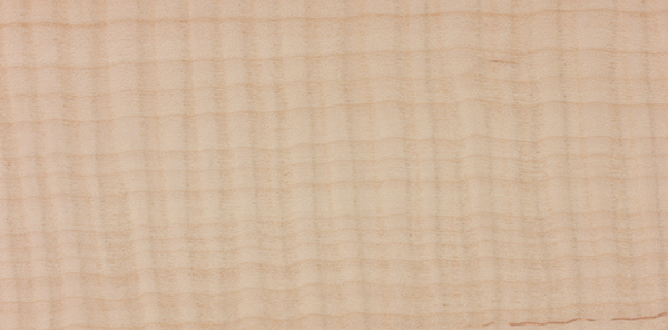Close-up image showcasing the natural color and mesmerizing grain pattern of Curly Maple wood: Exhibiting stunning iridescent waves or curls that enhance the wood's visual appeal and create a captivating design.