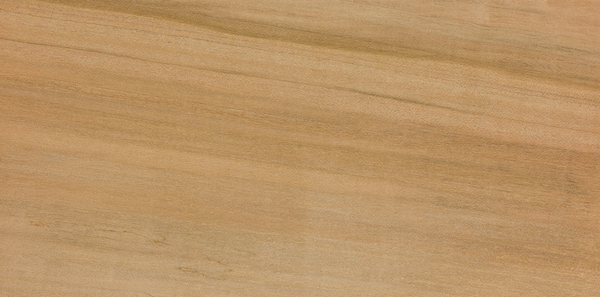 Close-up image showcasing the natural color and grain pattern of Silver Maple wood: Featuring light coloration with subtle silver-gray tones in the grain, lending a unique and elegant appearance.