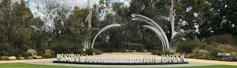 Jardin botanique du parc King