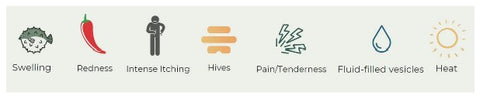 acute dermatitis stages