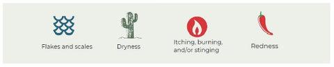 sub acute dermatitis stages