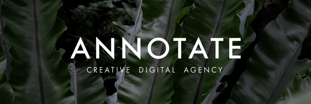 ANNOTATE AGENCY CAREERS