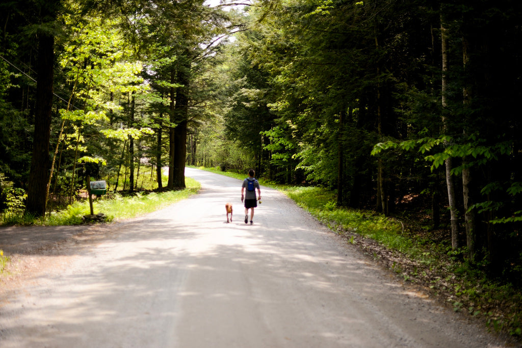 Vermont dirt road, vermont summer