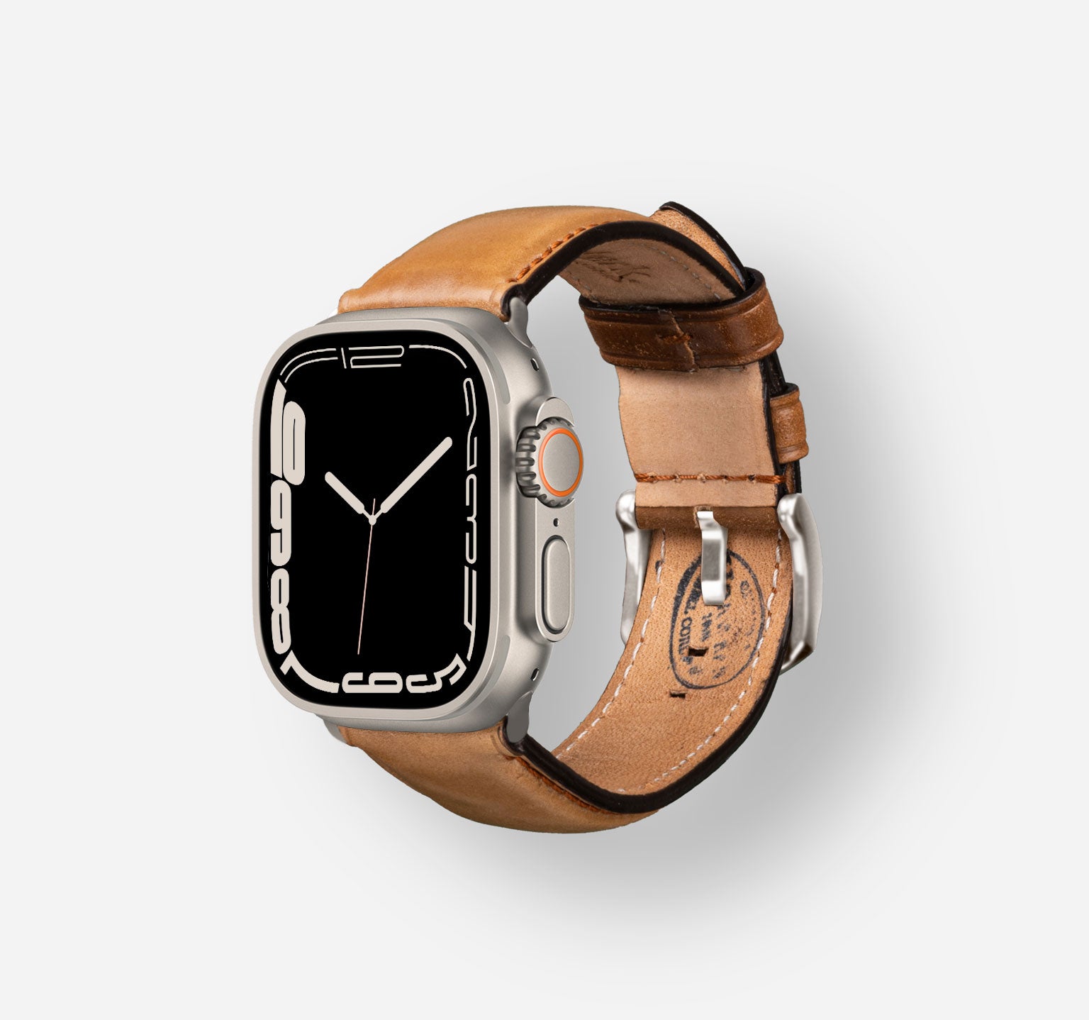 BandWerk Zurich Tegu Apple Watch Band