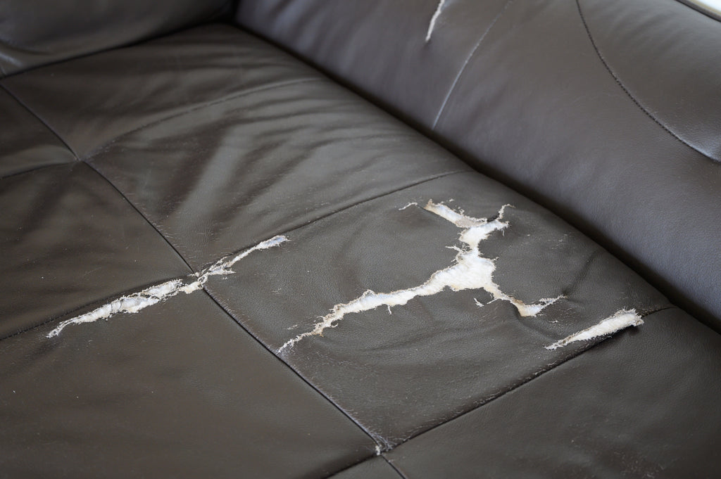 hoe to fix torn leather of sofa