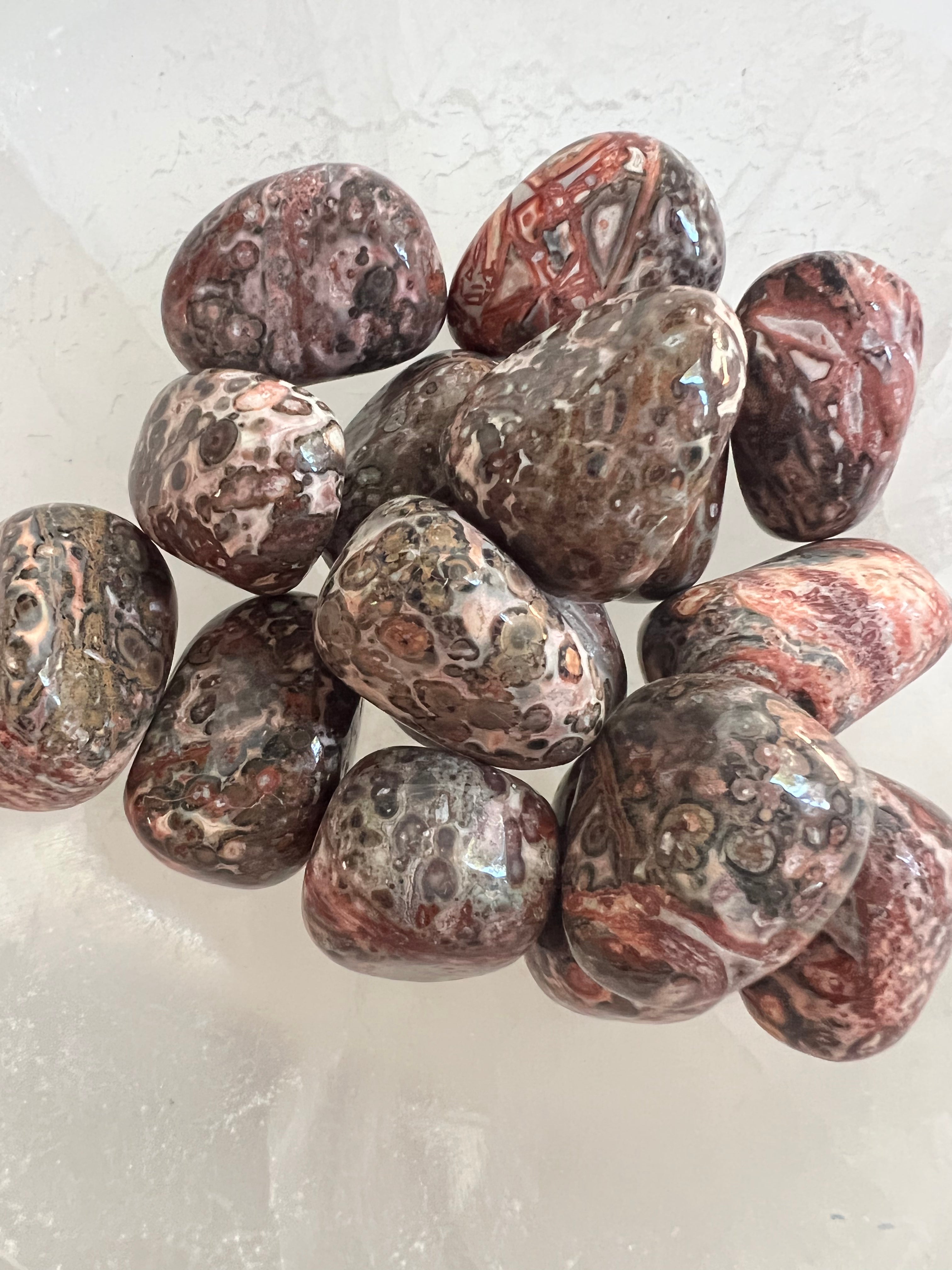 Leopard Skin Jasper Hand Cut Tumble