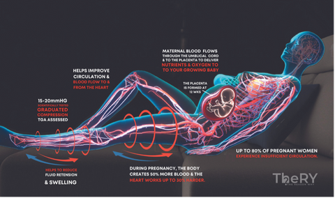 Pregnancy blood flow to baby diagram