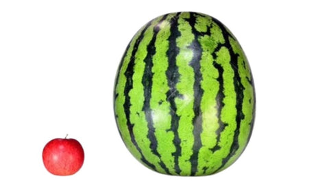 uterus grows from the size of an apple to a watermelon during pregnancy