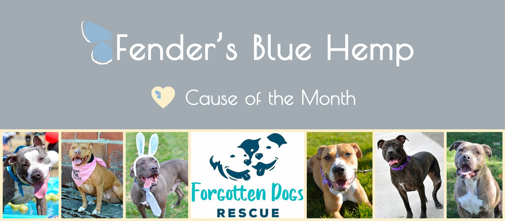 Cause of the Month Banner with Forgotten Dogs Rescue Images and Logo