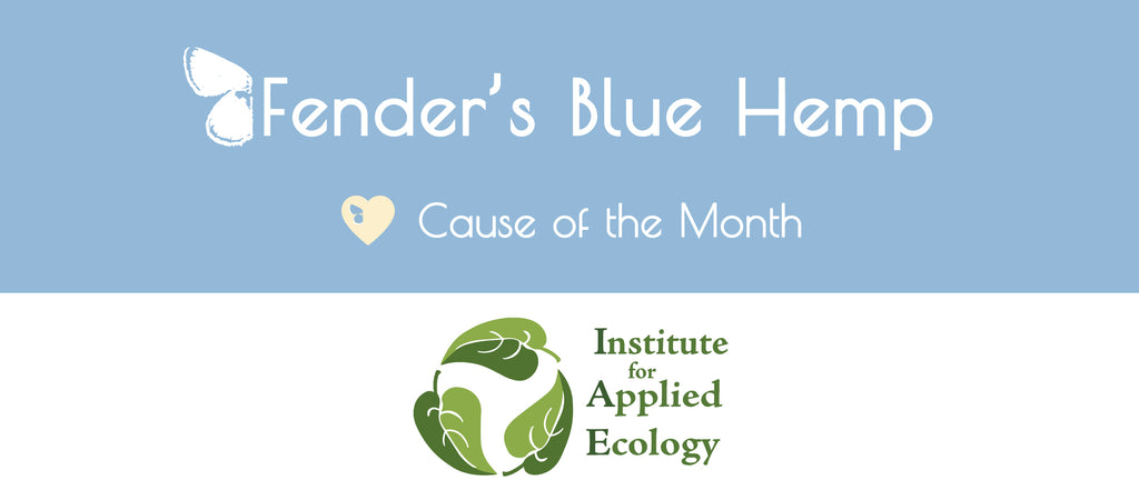 Fender's Blue Hemp Cause of The Month - Institute for Applied Ecology