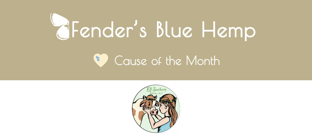 Fender's Blue Hemp Cause of The Month - Elf Sanctuary 