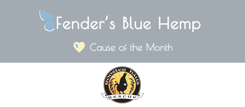 Fender's Blue Hemp Cause of The Month - Rooster Haus Rescue