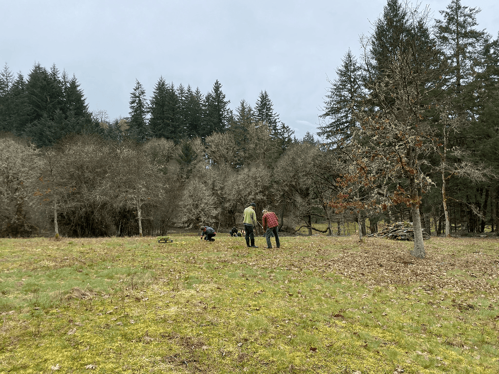 Institute for Applied Ecology Fender's Blue Hemp Restoration Project