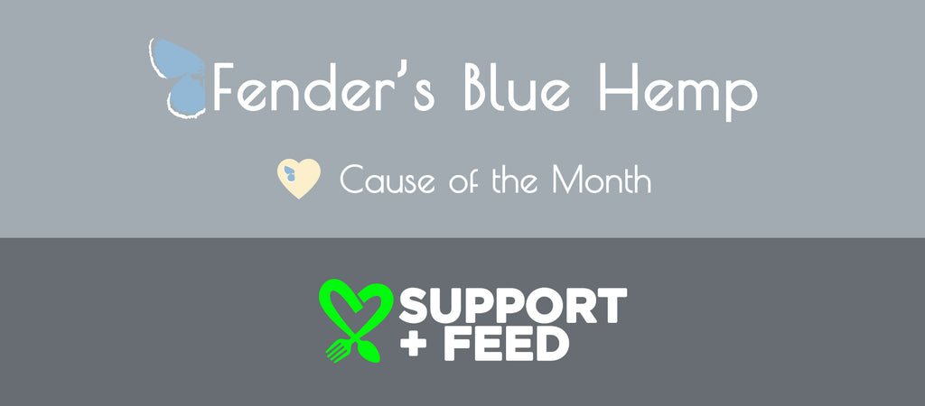 Fender's Blue Hemp Cause of the Month Support and Feed Banner Image