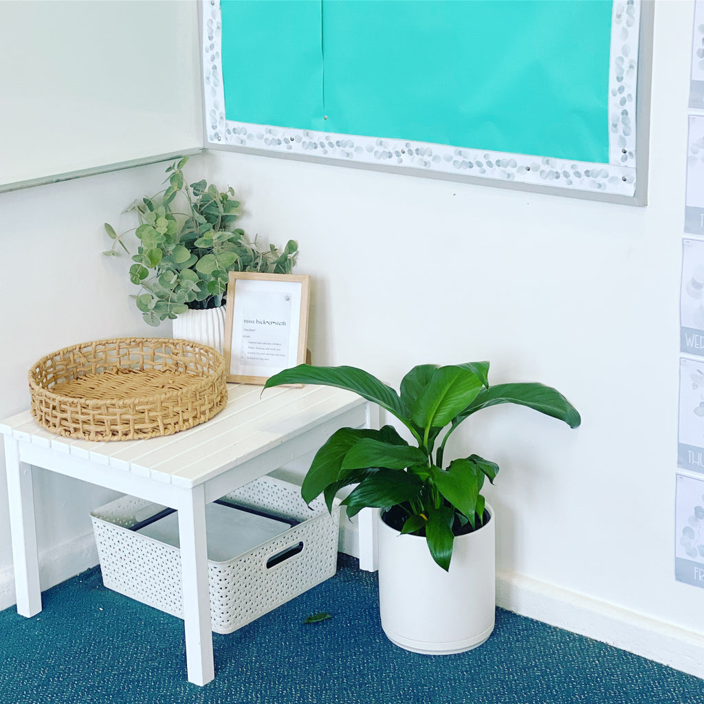 14 Relaxing Minimalist Nature-Themed Classroom Ideas