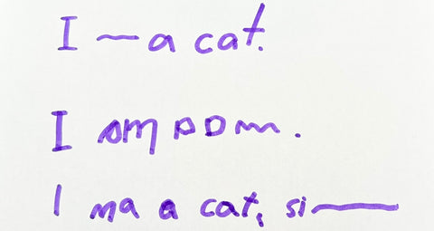 kindergarten-sentence-writing