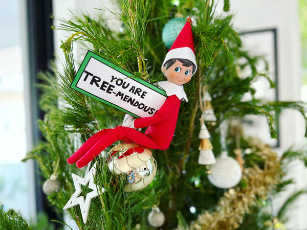 teacher elf on the shelf ideas classroom