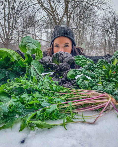 A gardener pulling their haul in the snow.