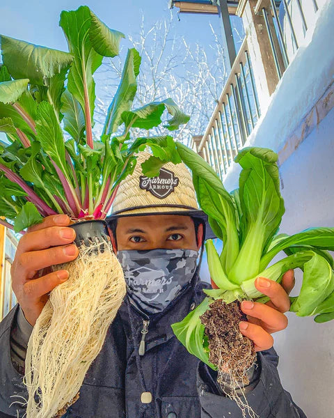 Man holding veggies wearing warm gear.